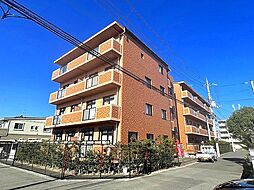セントポーリア