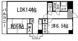プロスペリテ川上 8階/-
