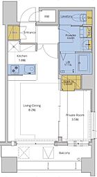 ネストピア博多ガーデン 8階/-