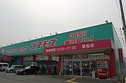 コスモス（550m）