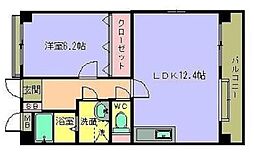 グランシャリオ箱崎2 1LDKの間取図画像
