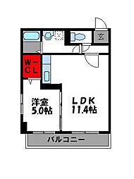 テゾーロカーザ 1LDKの間取図画像