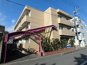 セピア鶴ヶ島 303 ｜ 埼玉県川越市大字天沼新田246-7（賃貸マンション1K・3階・27.15㎡） その1