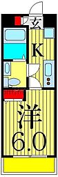 AZESTお花茶屋IV 4階