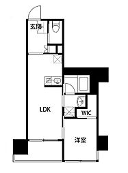 THE天神シティ 1LDKの間取図画像