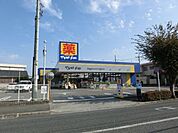 マツモトキヨシ 260m