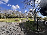 城山公園 徒歩7分。 500m