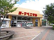 ヨークベニマル真美沢店 徒歩12分。 890m