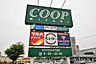 周辺：COOP　MIYAGI太子堂店 徒歩11分。 850m
