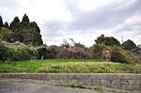 千葉県東金市山口：物件画像