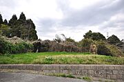 現地写真