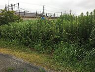 千葉県大網白里市南横川：物件画像