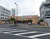 [ショッピング施設]　エコス大横店まで734m