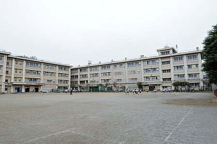 [小学校]　川崎市立鷺沼小学校まで490m