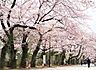 その他：谷中霊園　徒歩12分
