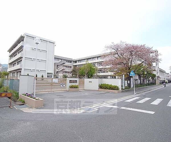 京都府長岡京市長岡2丁目(賃貸マンション1K・2階・27.00㎡)の写真 その30