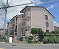 ダイヤモンドヴィスタ