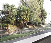 ベランダからの景色です