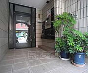 観葉植物が素敵です・
