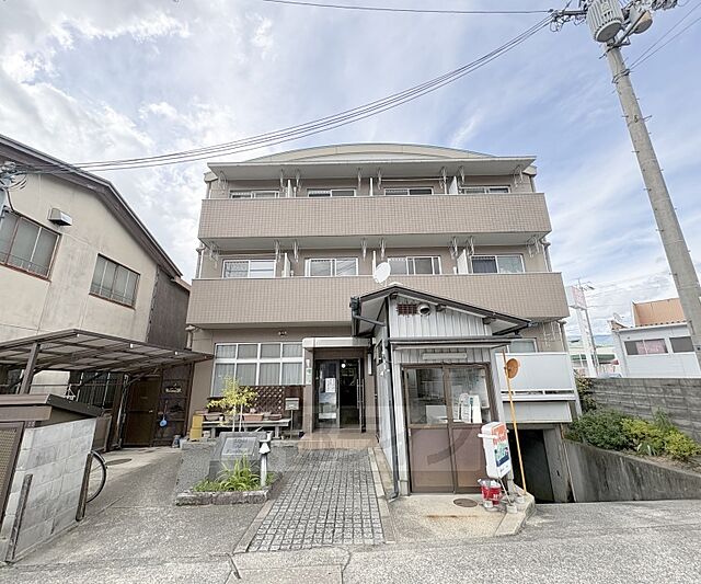 5 / 11