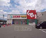 スギ薬局梅津店まで550m