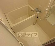うれしい3点セパレートです