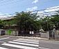 周辺：木幡中学校まで469m