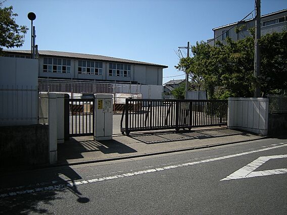 小学校 550...
