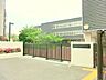 周辺：小学校 600m 御幸小学校