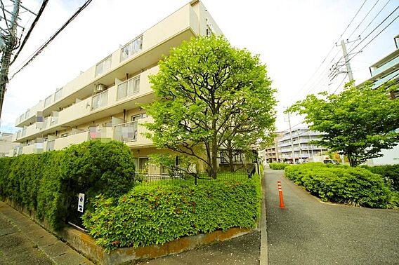 マンションの敷...
