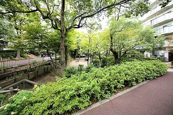 広々とした敷地...