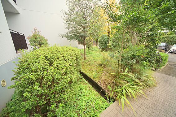 敷地内には植栽...