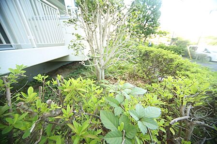 マンションの敷地内には、植栽が施されております♪