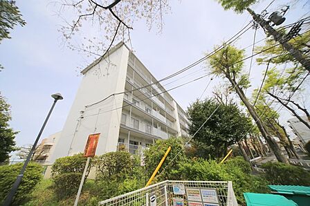 宮前平グリーンハイツ1ーＢ号棟　昭和47年2月築です！