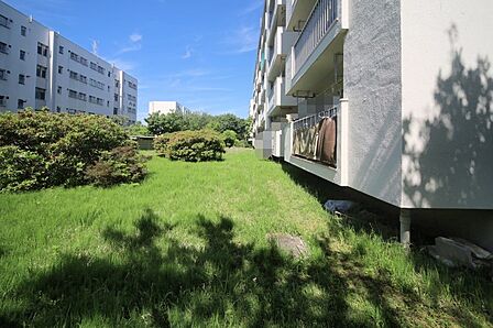 マンションの敷地内には、植栽が施されております♪