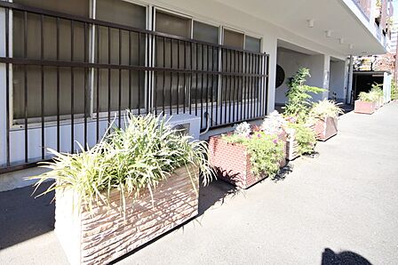 マンションの敷地内には、植栽が施されております♪