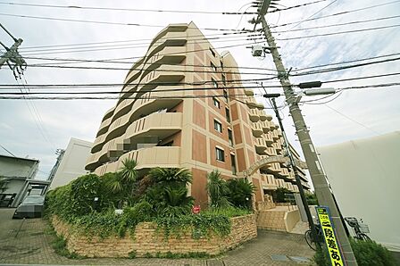 マンションの敷地内には、植栽が施されております♪