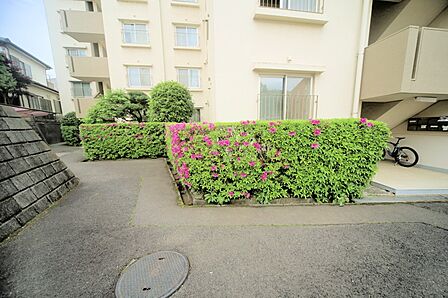マンションの敷地内には、植栽が施されております♪