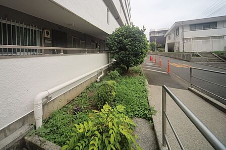 マンションの敷地内には、植栽が施されております♪