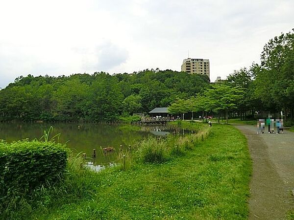 周辺を拡大表示