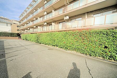 マンションの敷地内には、植栽が施されております♪