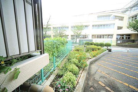 マンションの敷地内には、植栽が施されております♪