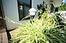 その他：マンションの敷地内には、植栽が施されております♪