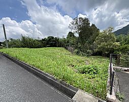 雷山の森　売地