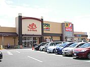 アルプス入間下藤沢店約500m