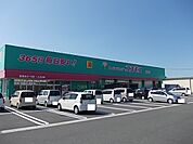 その他「コスモスまで1300m」
