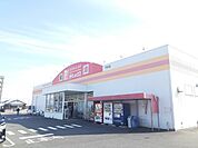その他「ダイレックスまで700m」