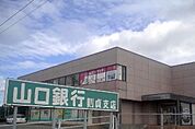 その他「山口銀行まで1100m」