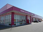 ドラッグストア 「ドラッグコスモス植松店まで500m」