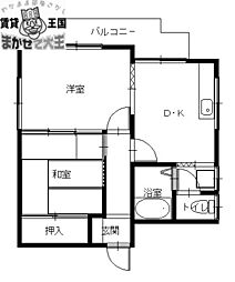 Satsuma BLD